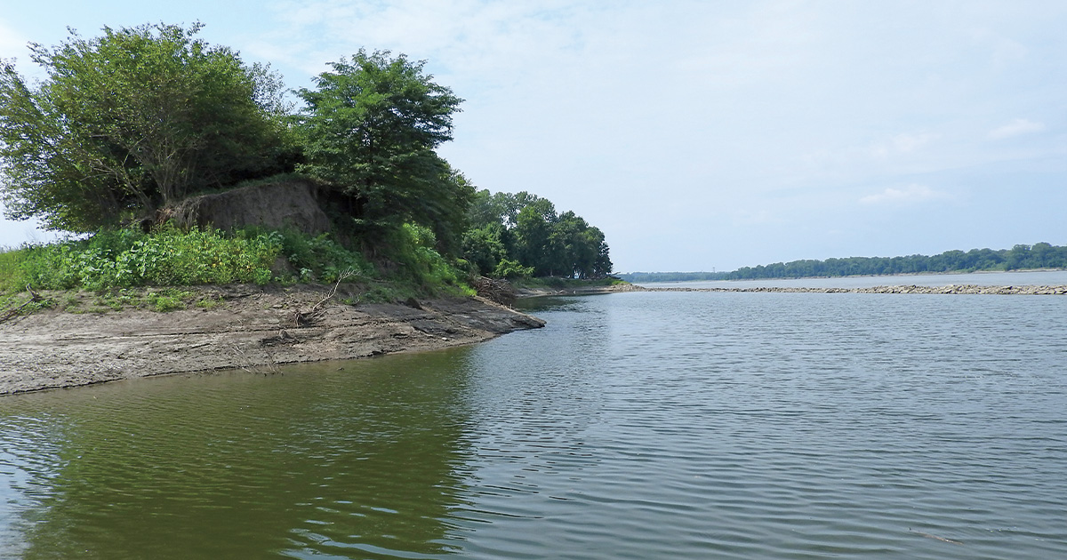Horseshoe Lake State Park’s Gabaret Island. Photo by Ducks Unlimited